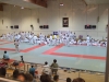judo-043